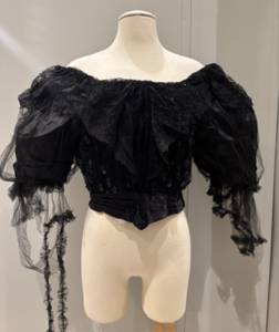 Shows off shoulder black bodice with tulle sleeves.